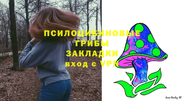 молекула духа Алексин