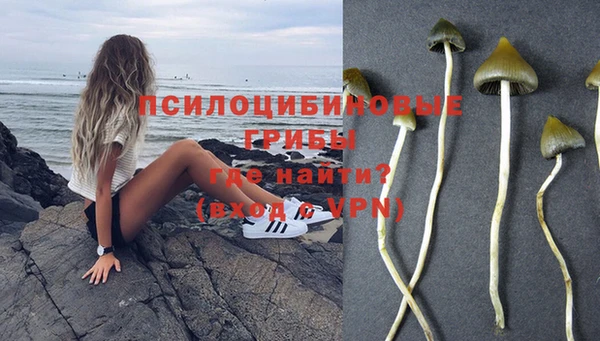 молекула духа Алексин