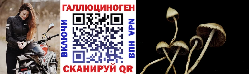 Галлюциногенные грибы Magic Shrooms Феодосия